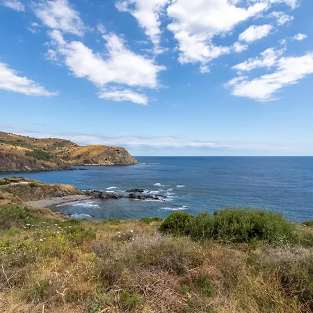 Aux Aloes * Cerbère